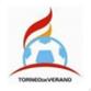 Logo Argentina TDV