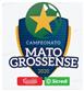 Logo Brazil Campeonato Sul-Matogrossense