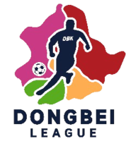 Logo Dongbei Star Football Super League