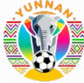 Logo Yunnan City Football League