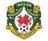 Logo VĐQG Wales