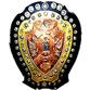 Logo IFA Shield Tournament