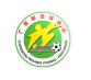 Logo MeiZhou New Year Cup