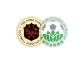 Logo Cup Hong Kong League