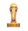 Logo Qatar Emir Cup