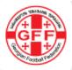 Logo Cúp Quốc gia Georgia