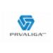 Logo VĐQG Slovenia