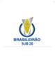 Logo Brazil  trẻ