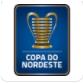 Logo Brazil Copa do Nordeste