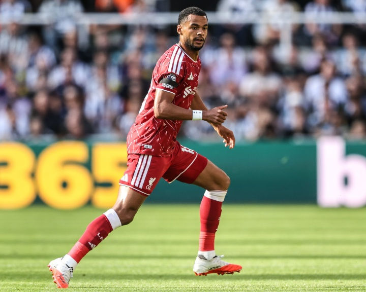 Báo Anh: Gakpo vắng mặt buổi tập thứ Ba, nhiều khả năng lỡ trận gặp Atletico – Liverpool loạt trụ cột bỏ ngỏ khả năng ra sân Báo Anh: Gakpo vắng mặt buổi tập thứ Ba, nhiều khả năng lỡ trận gặp Atletico – Liverpool loạt trụ cột bỏ ngỏ khả năng ra sân