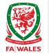 Ảnh giải đấu Wales FAW Championship