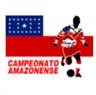Ảnh giải đấu Brazil Campeonato Amazonense