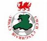 Ảnh giải đấu VĐQG Wales