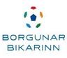 Ảnh giải đấu Cúp Iceland