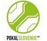 Ảnh giải đấu Slovenia Cup