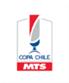 Ảnh giải đấu Chile Cup