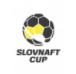 Ảnh giải đấu Cúp Slovkia