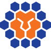 Logo Queensland Lions FC
