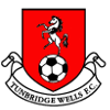 Logo Tunbridge Wells