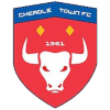 Logo Cheadle Town
