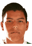 Juan Alexis Ribera Castillo