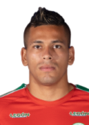 Johan Bocanegra