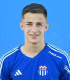 Vanja Sare