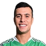 Fawzi El Henawy