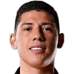 Sebastian Emiliano Fierro Gonzalez