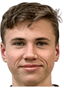 Vilmer Tyren