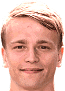 Tom van der Werff