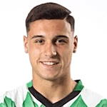 Aldin Jakupovic