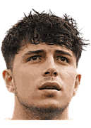 Erdem Calik