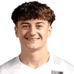Afonso Vieira