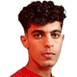 Ziad Tarek
