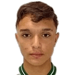 Vitor Goncalves Tissi