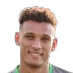 Mohamed Tarek
