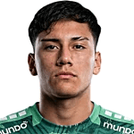 Vicente Villegas