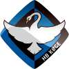Logo U19 Herfolge BK