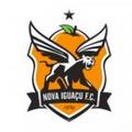 Logo Nova Iguacu Youth