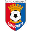 Logo Chindia Targoviste