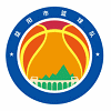 Logo Yiyang Football Team