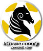 Logo Kildare County