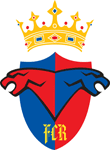 Logo FC Rapid Ghidighici