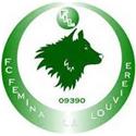 Logo Nữ 1. FC Femina
