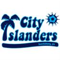Logo Harrisburg Islanders