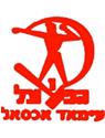 Logo Hapoel Iksal