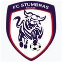 Logo Stumbras II