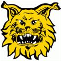 Nữ Y Ilves