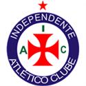 Logo Vaidepenas Futsal